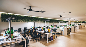 �����ۺ�